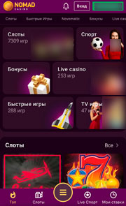 Адаптивная версия