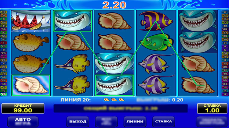 Демоверсия Wild Shark 