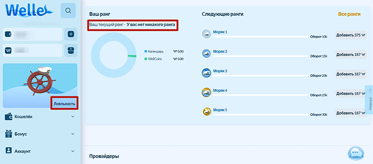 VIP-уровень
