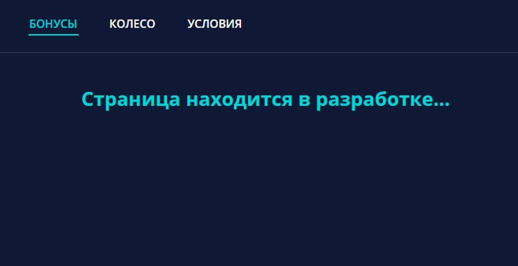 Бонусы отсутствуют