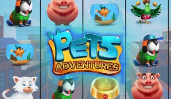 Pets Adventures