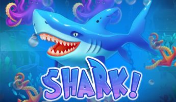 Shark