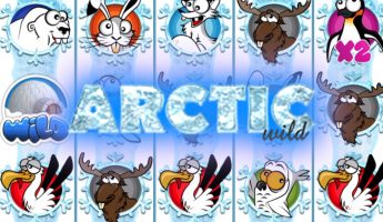 Arctic Wild