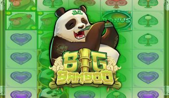 Big Bamboo