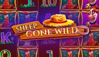 Sheep Gone Wild