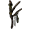 Яркие ведьмовские ветви в Darkness