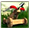 Баллиста в Sparta