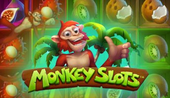Monkey Slots