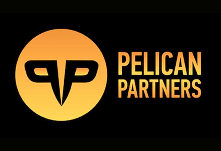 pelican
